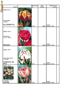 BULBI DE FLORI