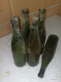 VIN VECHI DE COLECTIE Galbena de Odobesti 1976