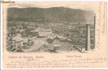 Busteni-Vedere generala, circulata 1901 foto