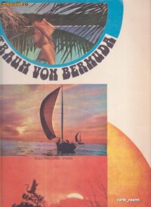 TRAUM FROM BERMUDA ~INSTRUMENTAL ~VINIL