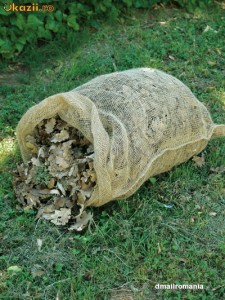 2 saci biodegradabili din iuta