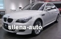 Revizie BMW 525d e60 2004 foto mare