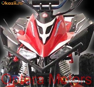 Far ATV 110X Prince China foto mare