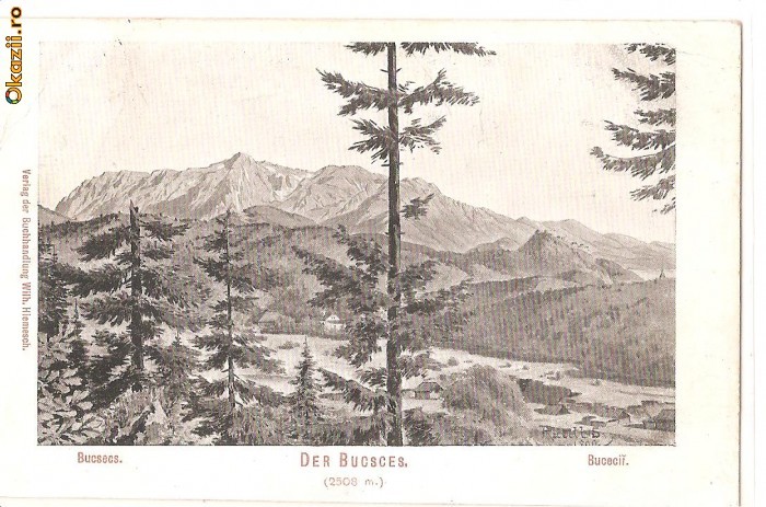 Muntii Bucegi-vedere generala, antetul fabricii de mezeluri M. Fleischer Brasov foto mare