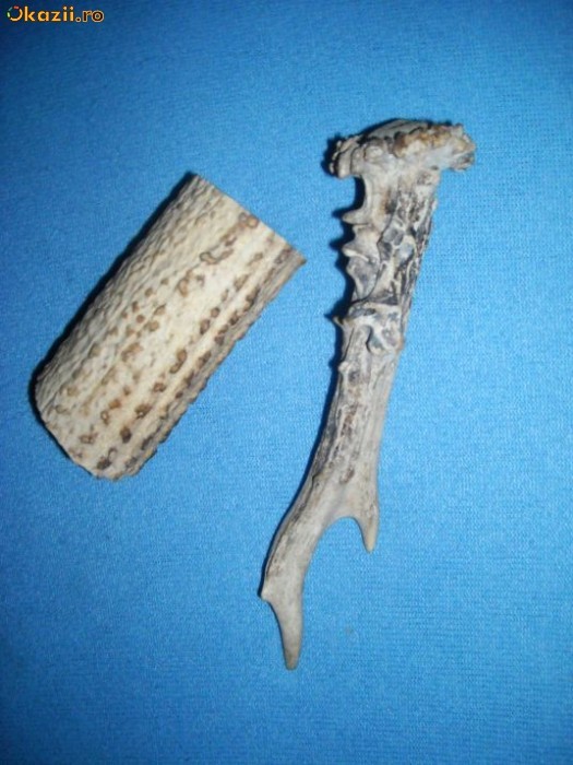 OFERTA !!! Corn de caprior si de cerb (5) pentru maner de cutit vanatoresc foto mare