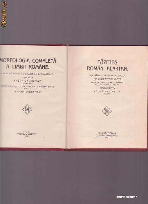 MORFOLOGIA COMPLETA A LIMBII ROMNE -1924- TUZETES ROMAN ALAKTAN - ANTON VALENTINY foto mare