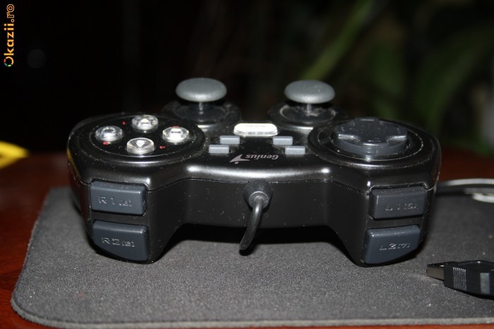 GAMPAD GENIUS foto mare