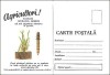 AA Filatelie CP Agricole 560/1171//1964, necirculata