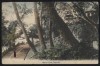 Japonia, Nagasaki - Suwa Park