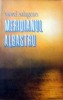 Meridianul albastru - Viorel Salagean