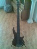 BASS CORT GREG CURBOW 5 CORZI DOZA ACTIVA
