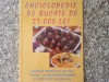 ENCICLOPEDIE DE BUCATE DE 27.000 LEI - Rania Tsakalos