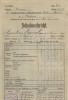 Document austriac scolar 1916/17 din Bucovina