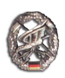 Insigna Vultur foto