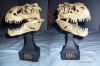 MACHETA  CRANIU DINOZAUR -  V-REX