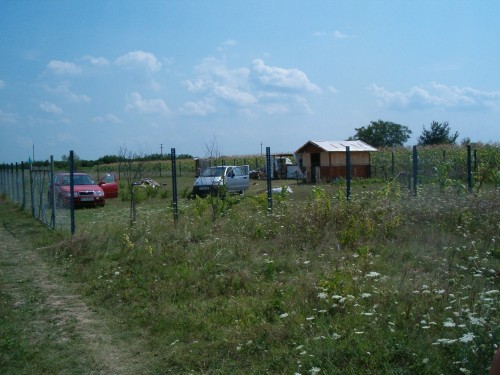 TEREN CASA 500 MP ADUNATII COPACENI foto mare