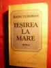 radu tudoran iesirea la mare radu tudoran iesirea la mare