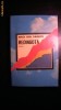 Mircea Horia Simionescu - Redingota (roman)