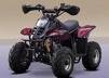 ATV dimensiune medie, motor 110Cc in 4 timpi!!!