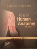 Atlas Of Human Anatomy 4th Edition (original) - Frank H. Netter, Md