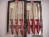 Set cutite Bucatarie CLAUSS 1877- (SOLINGEN), manere antibacteria, sigilat. Germania