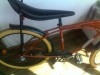 Bicicleta Pegas